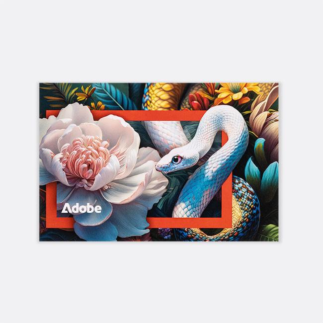 Main image of Adobe notecard set/10: Snake artwork