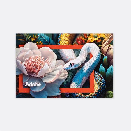 Adobe notecard set/10: Snake artwork