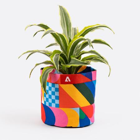 Planter cover – Art by Emma Zhang